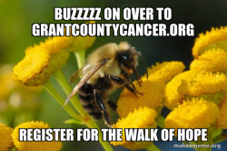 Good Guy Bee