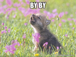 Baby Insanity Wolf