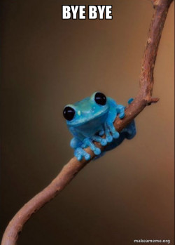Small Fact Frog