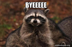 Evil Plotting Raccoon