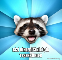 Lame Pun Coon
