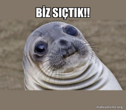 Squeamish Seal