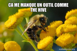 Good Guy Bee