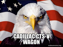 American Pride Eagle