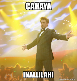 Tony Stark Success
