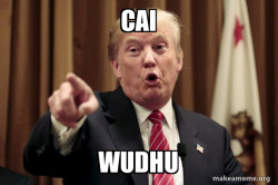 Donald Trump Says