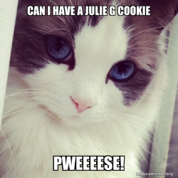 Ridiculously Photogenic Cat