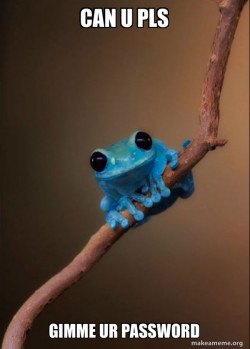 Small Fact Frog