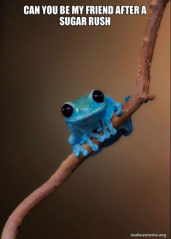 Small Fact Frog