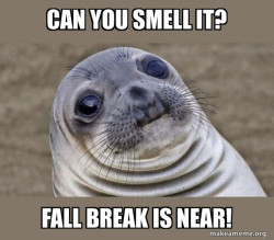 Noseless seal