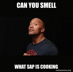 Dwayne Johnson (The Rock)