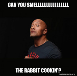 Dwayne Johnson (The Rock)