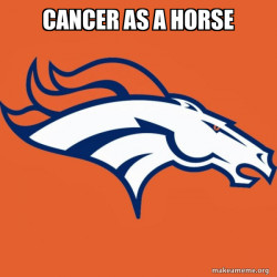 Denver Broncos