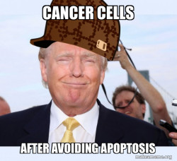 Scumbag Donald Trump