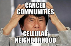 Jackie Chan Why?