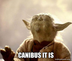 Yoda Smell