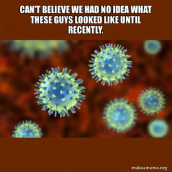 Coronavirus ( COVID-19 )