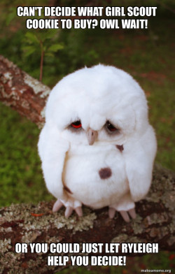 Sad Owl