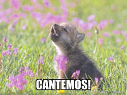 Baby Insanity Wolf