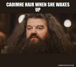 Hagrid - I should not have said that