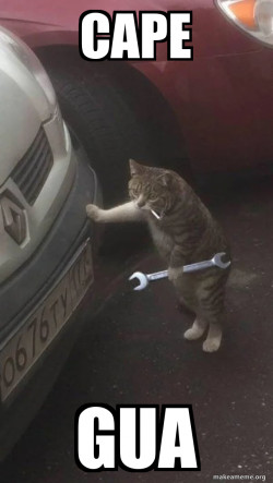 Mechanic Cat