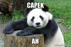 Confession Panda