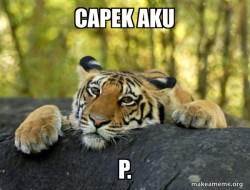 Confession Tiger