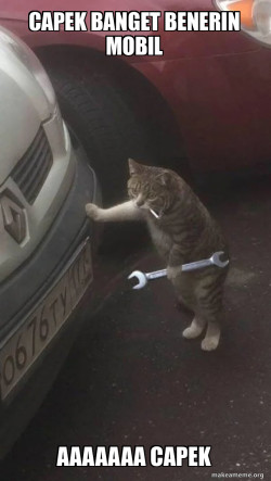 Mechanic Cat