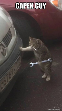 Mechanic Cat