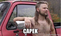 Almost Politically Correct Redneck