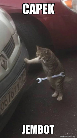 Mechanic Cat