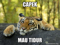 Confession Tiger