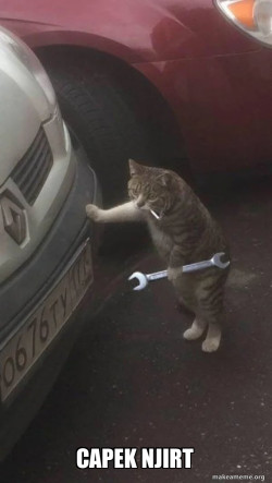 Mechanic Cat