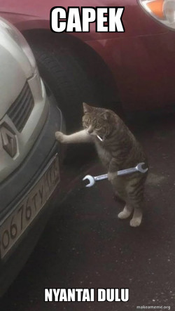 Mechanic Cat
