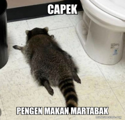 Drunk Raccoon