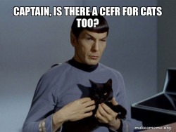 Spock and Cat Meme