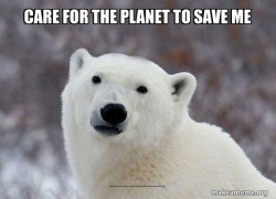 Popular Opinion Polar Bear