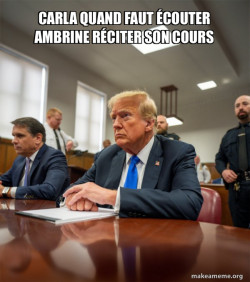 Trump Court Room