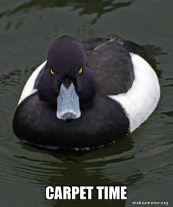 Revenge Duck ( Angry Advice Duck )