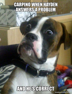 Skeptical Dog