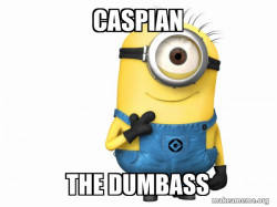 Thoughtful Minion dumbass