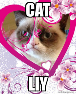 Grumpy cat Valentines Day