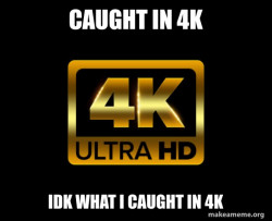 Caught in 4k