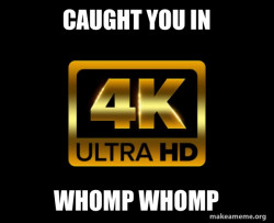 Caught in 4k