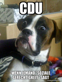 Skeptical Dog