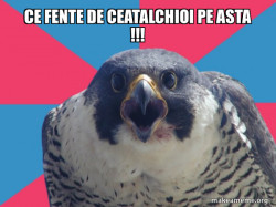 Millennial Falcon
