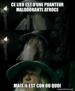 Confused Gandalf