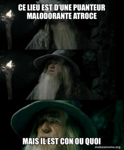 Confused Gandalf