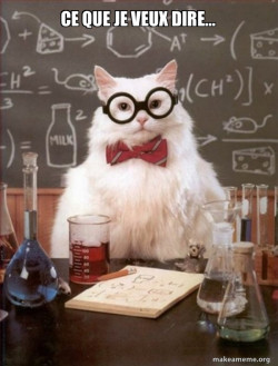 Chemistry Cat
