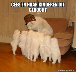 Scumbag Storytelling Dog